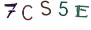 Image CAPTCHA